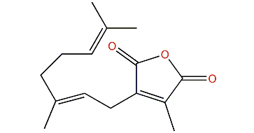 seco-Germacrane anhydride